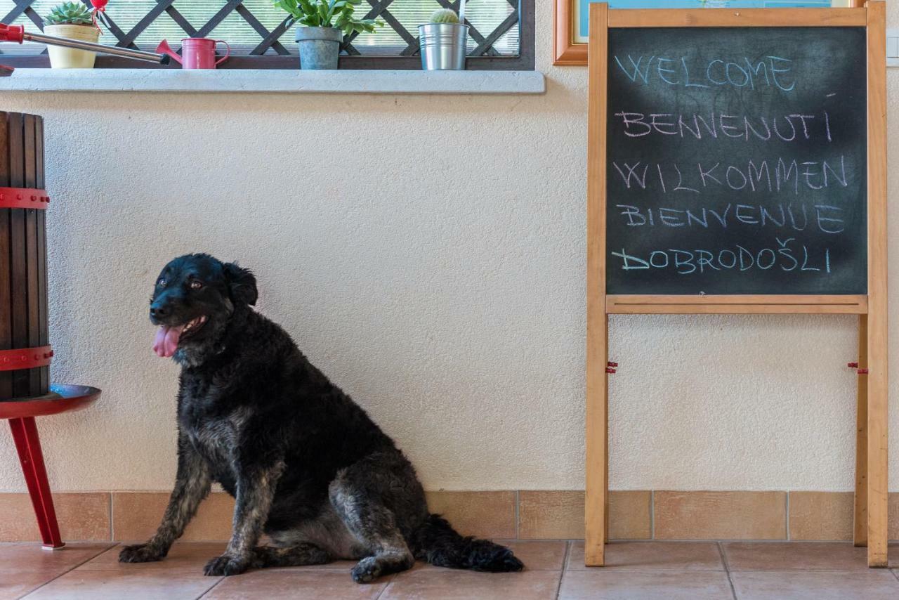 B&B Carmela Umag Eksteriør bilde