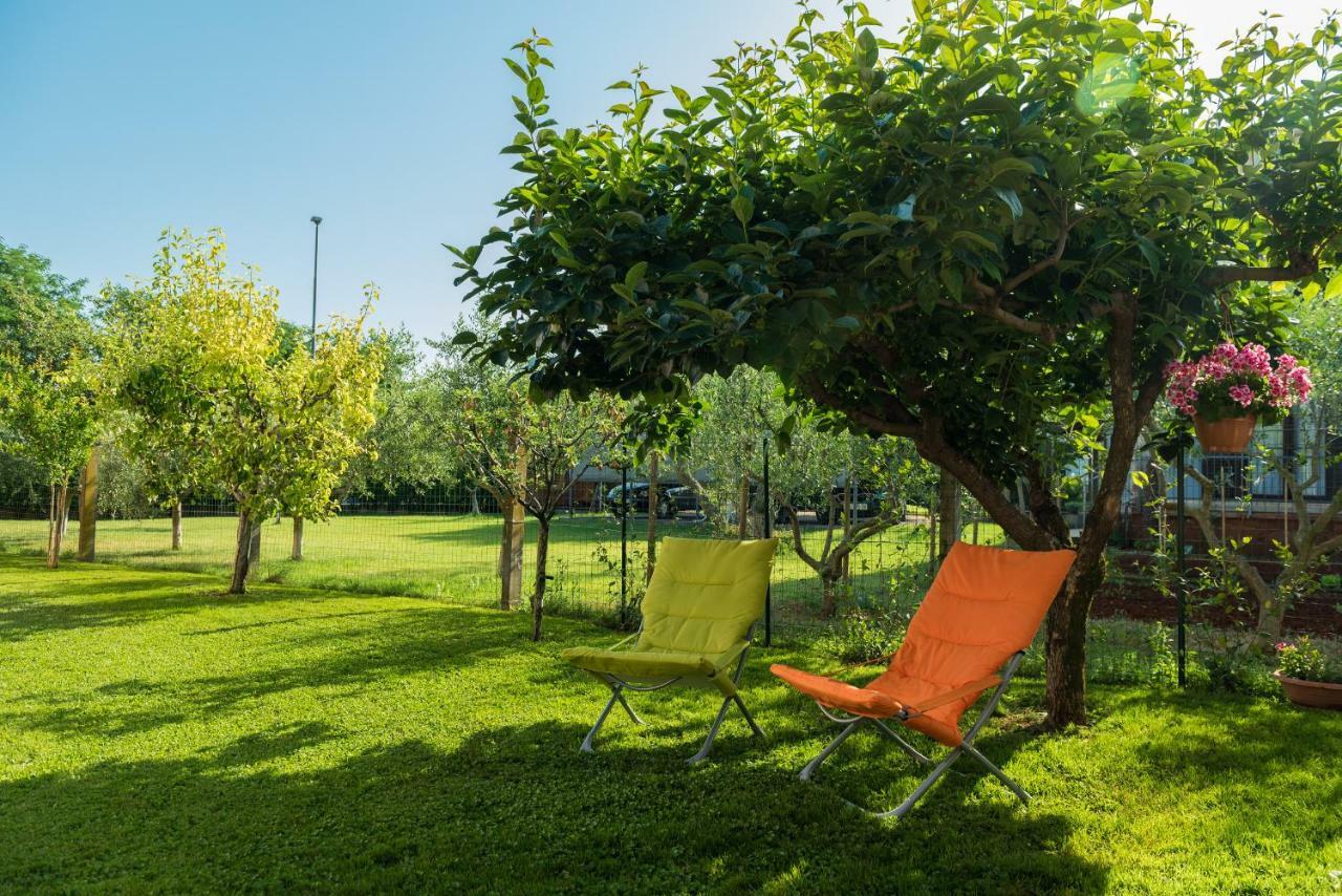 B&B Carmela Umag Eksteriør bilde