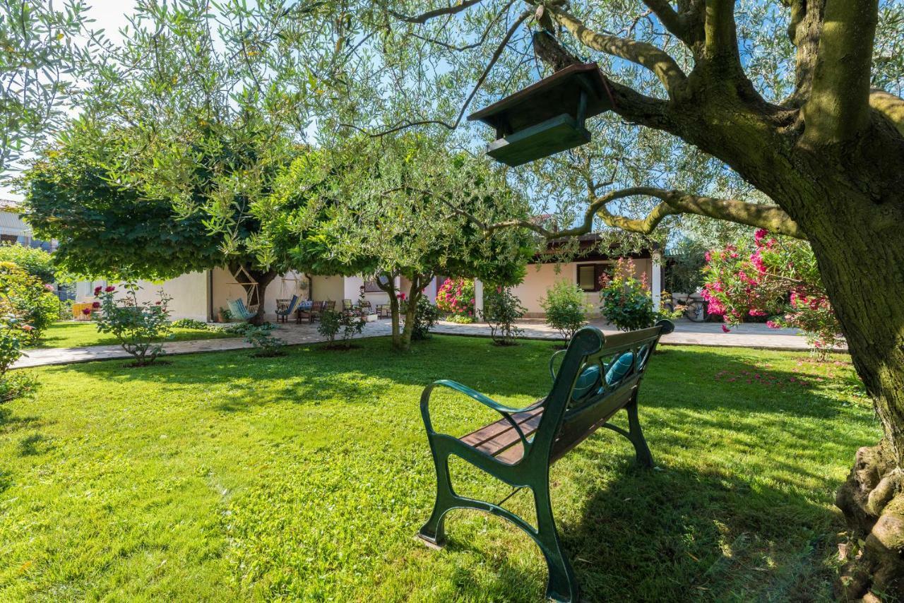 B&B Carmela Umag Eksteriør bilde